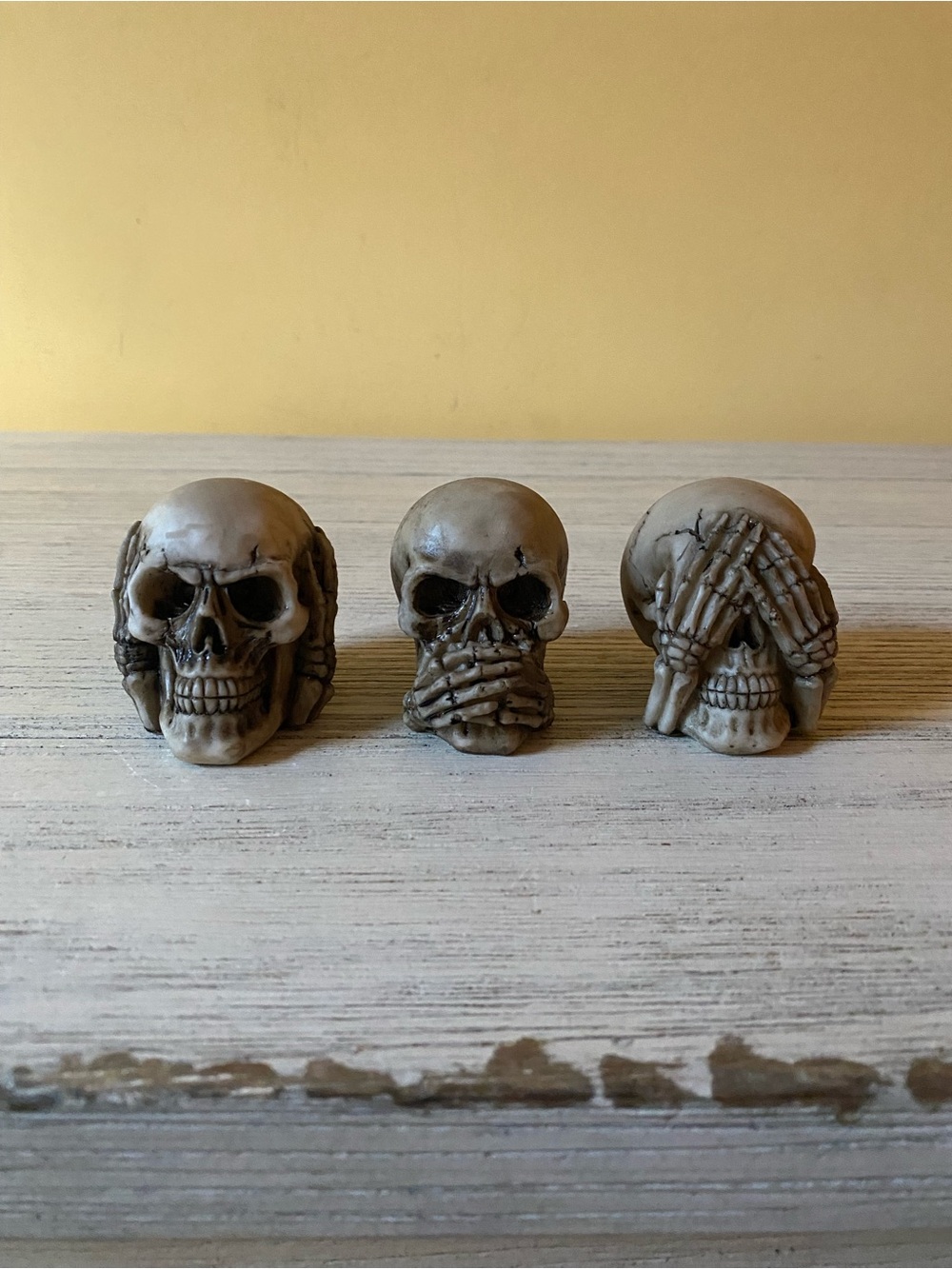 Miniature See No Evil Skull Decor